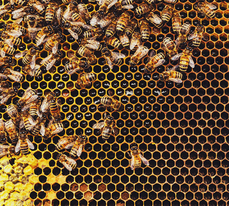 Attracting-Talent-During-a-Worker-Shortage-lavasourcehr